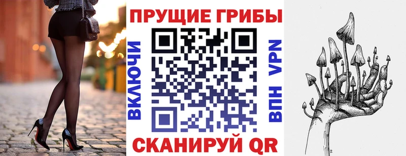 Псилоцибиновые грибы Psilocybine cubensis  Петров Вал 